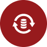 Server Icon