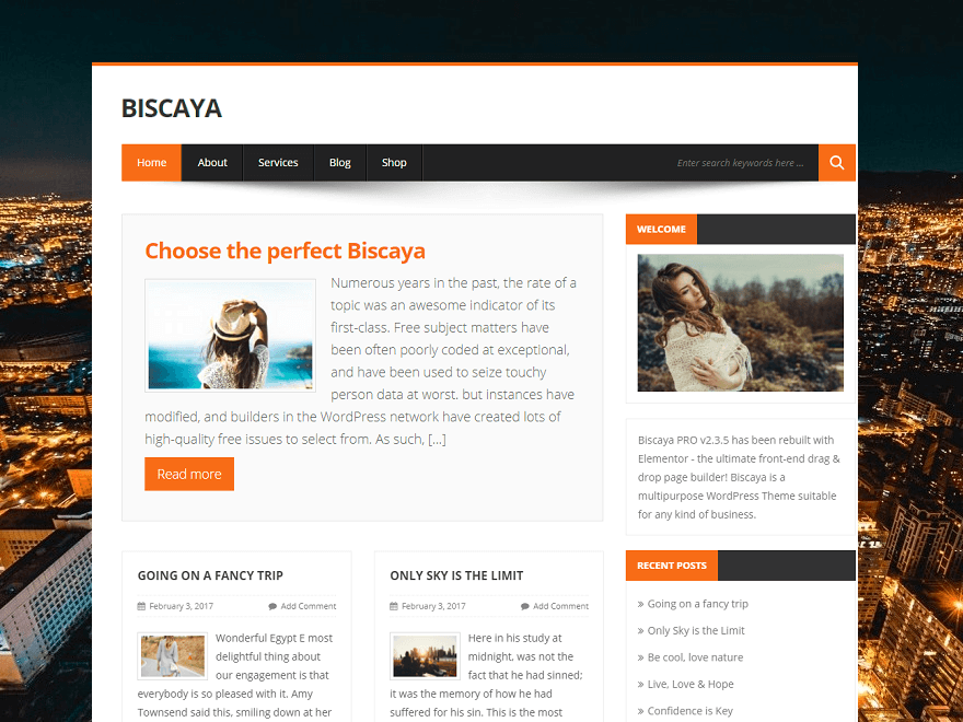 WordPress website