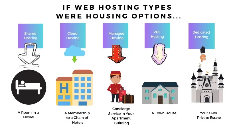 types of web hosting were housing options